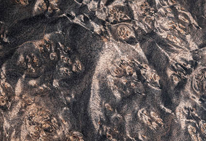 PREMIUM 5A MAPLE BURL TOP