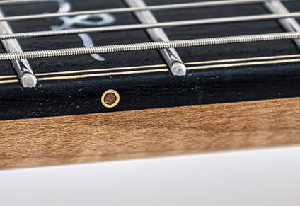 BRASS SIDE DOTS WITH WOODEN INLAYS