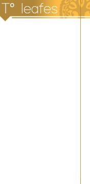 Tleafes