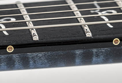 STAINLESS STEEL FRETS